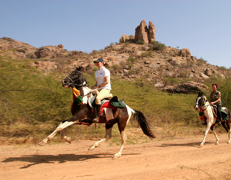 Horse safari