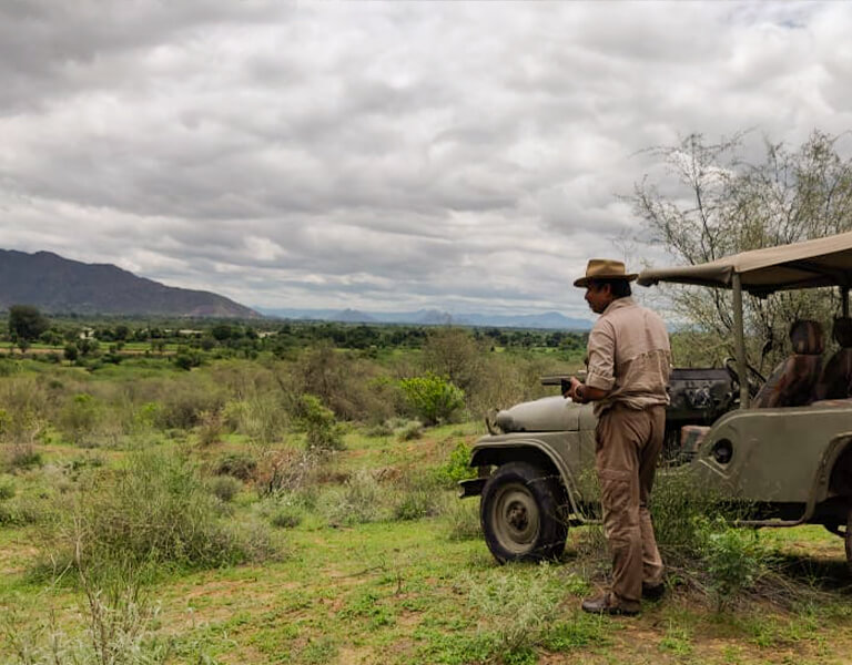 Jawai Safari