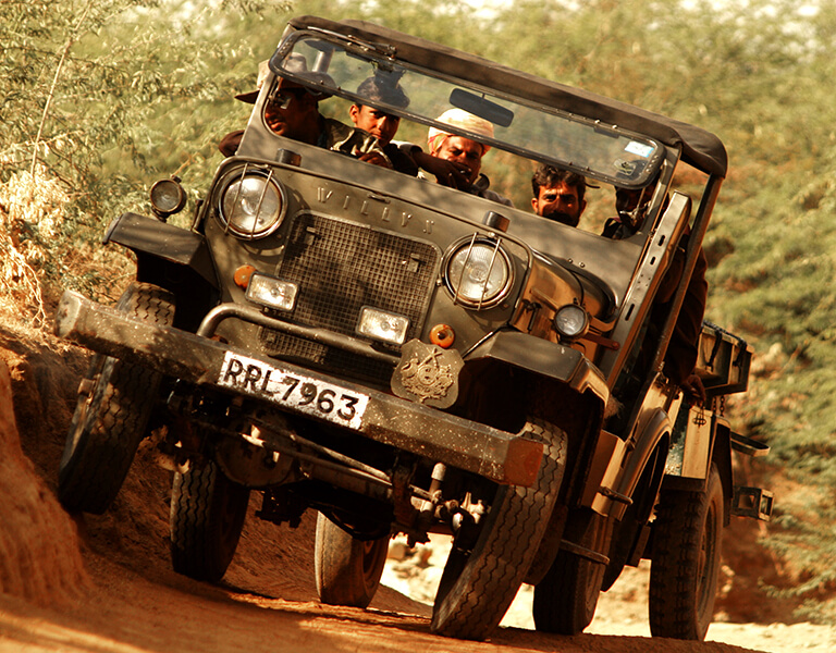 jeep-safari