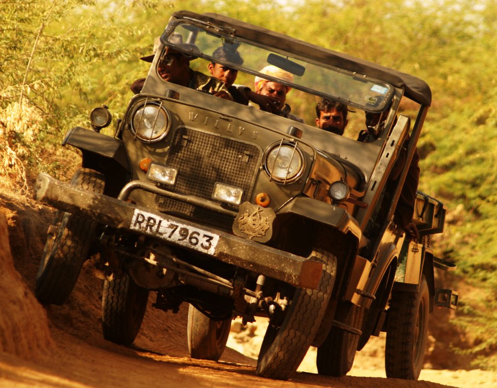 jeep safari in jawai