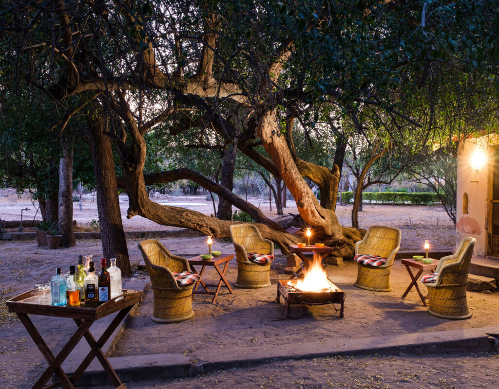 jawai safari camp